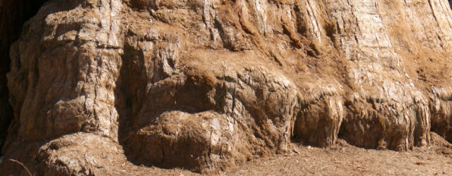 dunes
